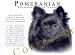 pomeranian8 - Pomeranian BLACK Human Trainer Mouse Pad Dog Mousepad
