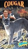 Cougar [VHS]