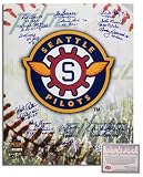 1969 Seattle Pilots Team Signed 16x20 Photo - Logo Collage 2