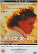 Julien Donkey Boy [1999] [DVD]