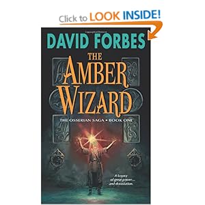 Amber Wizard