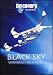 Image of Black Sky: Winning the X-Prize DVD