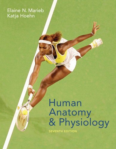 essentials of human anatomy and physiology answer key