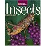 Insects