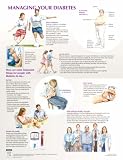Netter Clinical Charts: Managing Your Diabetes Chart (Netter Charts)