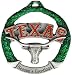 NCAA Texas University Longhorns Holiday Ornament
