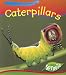 Book Caterpillars (Creepy Creatures)
