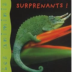 Les Animinis : Animaux surprenants