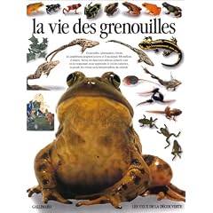 La vie des grenouilles