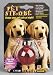 Classic Products #22112 Pet Strobe