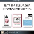 Entrepreneurship Lessons Success Collection ebook