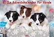 HEELs Adventskalender f�r Hunde