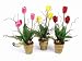 3 Spring in Bloom Assorted Colored Potted Silk Tulip Flowers with Bird Nests 18