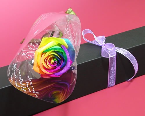さりげなく　かっこいい！ 一輪だけでも高級感のある花束。 「ブラックＢＯＸレインボーローズ生花一輪」