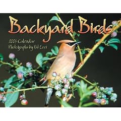 Cal 2005-Backyard Birds