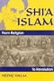 Shi'a Islam: From Religion to Revolution (Princeton Series on the Middle East)