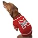 Nebraska Cornhuskers Red Collegiate Dog T-shirt