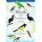 Bird Guides to Asia