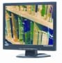 NEC AccuSync 5V-Bk 15" LCD Monitor (Black)