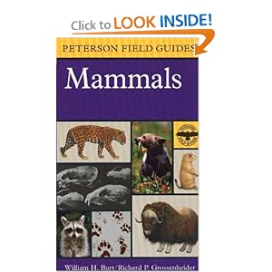 A Field Guide to Mammals: North America north of Mexico (Peterson Field Guide Series) by William H. Burt, Roger Tory Peterson, and Richard Philip Grossenheider