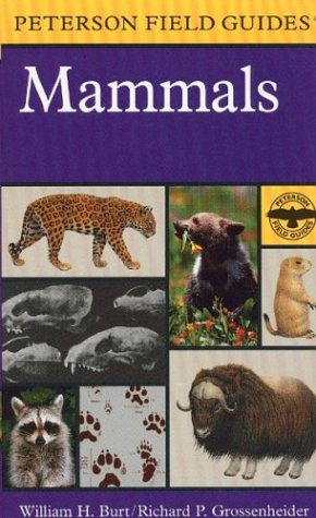A Field Guide to Mammals: North America north of Mexico (Peterson Field Guides(R))