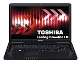 Toshiba Satellite L670-10N 17.3 inch notebook (Pentium P6000, 4 GB RAM, 500 GB HDD, DVD SuperMulti Drive, Windows 7 Home Premium)