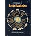 Brain Evolution