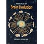 Brain Evolution
