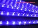 Wireless remote control Purple Underbody undercar LED kits (wide angle 180 degrees) Car or Truck 4 P