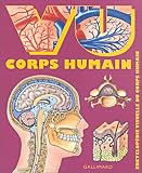 Vu corps humain