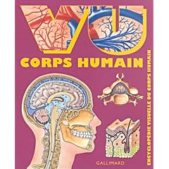Vu corps humain