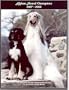 Afghan Hound Champions, 1987-2003