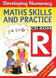 Developing Numeracy:Maths Skills and Practice R CD Rom (Developings)