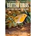 Savouring & Experiencing The British Isles
