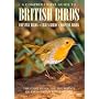 A Comprehensive Guide To British Birds [DVD]
