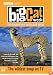 Big Cat Week : Complete BBC Series 1 & 2