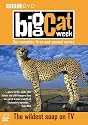 Big Cat Week : Complete BBC Series 1 & 2