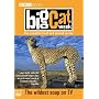 Big Cat Week : Complete BBC Series 1 & 2