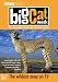 Big Cat Week : Complete BBC Series 1 & 2 [DVD]