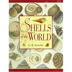 Shells of the World