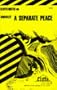 A Separate Peace (Cliffs Notes)