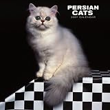 Persian Cats 2007 Calendar