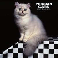 Persian Cats 2007 Wall Calendar