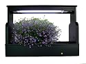The Plant Furniture Company 1001 Black Plant Light Box