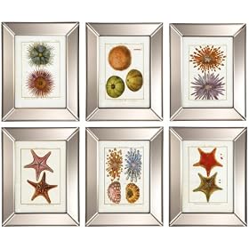 Two's Company Marine Life Mirror-Frame Art, Set of 6