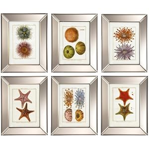 Amazon.com: Two's Company Marine Life Mirror-Frame Art, Set of 6: Home & Kitchen