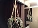 SHORT Macrame Plant Hanger SAND NO BEADS 35