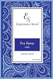 6 Pack SeaSpray Large Scented Sachet Envelope By Expressive Scent