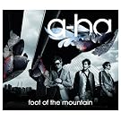 Foot Of The Mountain