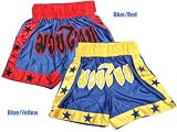 Silk Muay Thai Kick Boxing Shorts